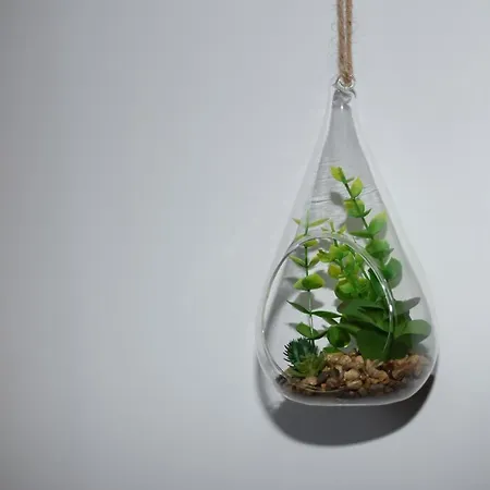 Chez Kate Et Lolo 3*