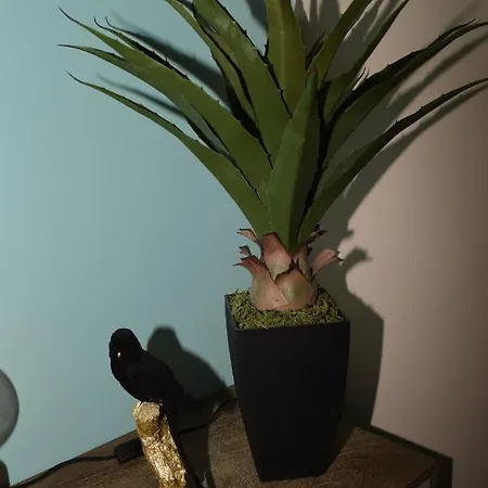 Oda ve Kahvaltı Chez Kate Et Lolo 3*