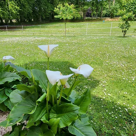 Chez Kate Et Lolo Oda ve Kahvaltı 3*