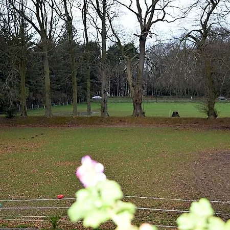 Chez Kate Et Lolo Senneville-sur-Fécamp