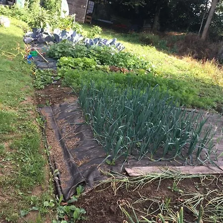 Oda ve Kahvaltı Chez Kate Et Lolo Senneville-sur-Fécamp